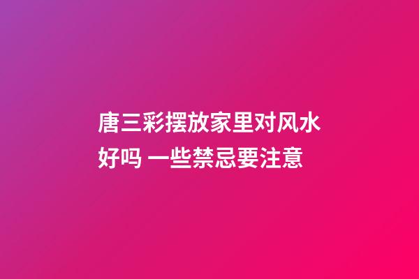 唐三彩摆放家里对风水好吗 一些禁忌要注意